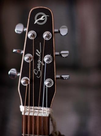 martin guitar serial numbers for 2005